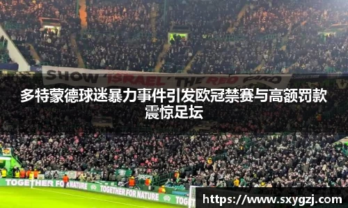 多特蒙德球迷暴力事件引发欧冠禁赛与高额罚款震惊足坛